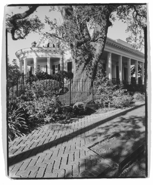 Live Oak Tree, New Orleans, B&W print, Fine Art Photography, Richard Margolis, Silver Gelatin Print