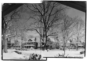 Oak Tree, Winter, B&W print, Fine Art Photography, Richard Margolis, Silver Gelatin Print