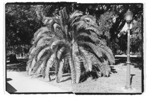 Diptych, B&W Print, Fine Art Photography, Richard Margolis, New Orleans