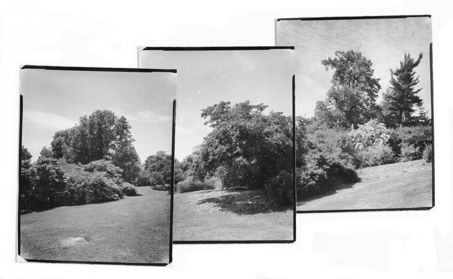 Frederick Law Olmsted, Highland Park, Rochester, NY, B&W print, Fine Art Photography, Richard Margolis, Silver Gelatin Print